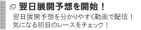 翌日展開予想を開始