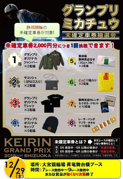 GPミカチュウ.JPG