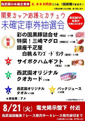 8.21ミカチュウ.JPG