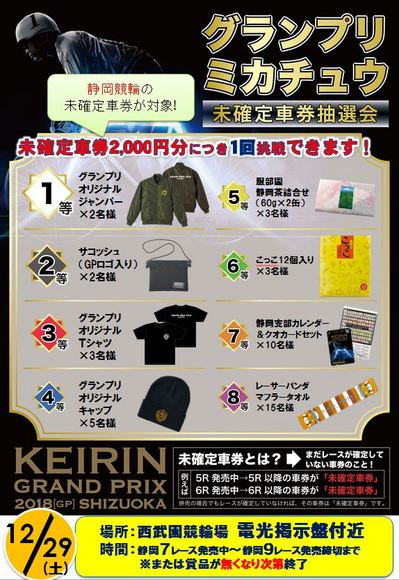 GPミカチュウ.JPG