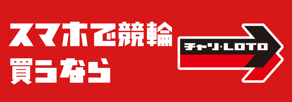 スライドイメージ13